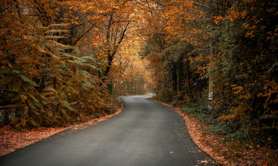 BALADE A VÉLO D’AUTOMNE LE 27 NOV