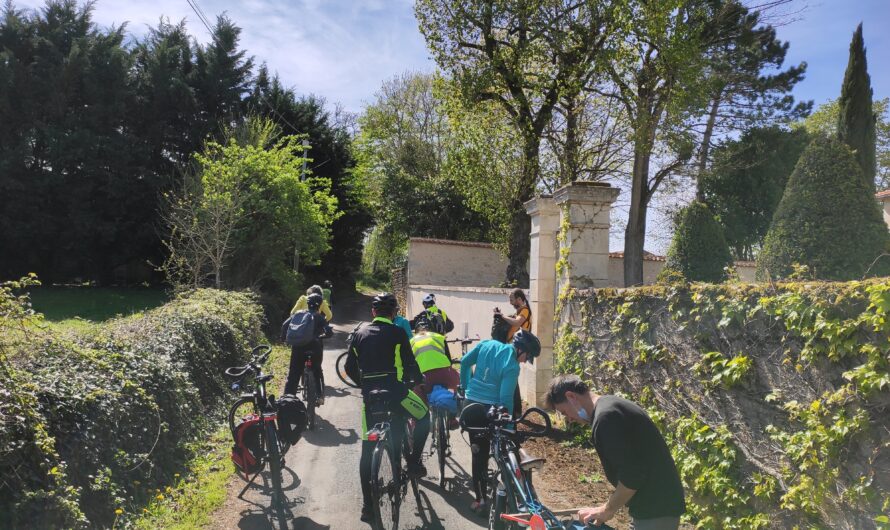 Dim 22 Janvier : Balade à vélo de la nouvelle année